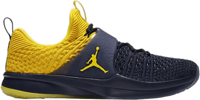  Jordan Trainer 2 Flyknit Michigan