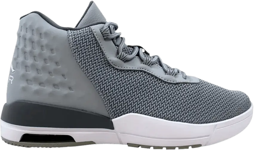  Jordan Academy Wolf Grey (GS)