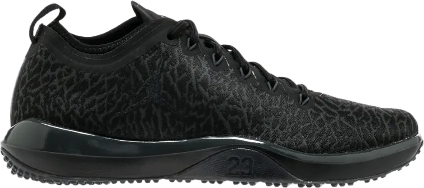 Jordan Trainer 1 Low Black/Black-Anthracite