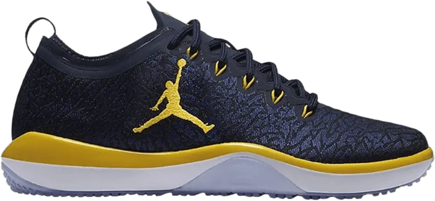  Jordan Trainer 1 Low &#039;Michigan Woverines&#039;