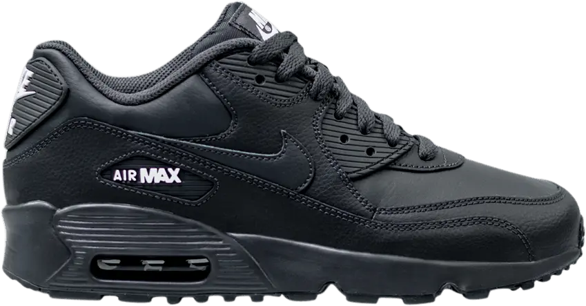  Nike Air Max 90 LTR GS &#039;Anthracite&#039;