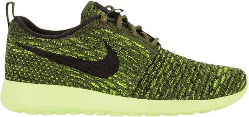  Nike Wmns Roshe One Flyknit &#039;Rough Green&#039;