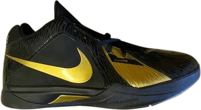  Nike Zoom KD 3 QAM &#039;MLK&#039; Sample