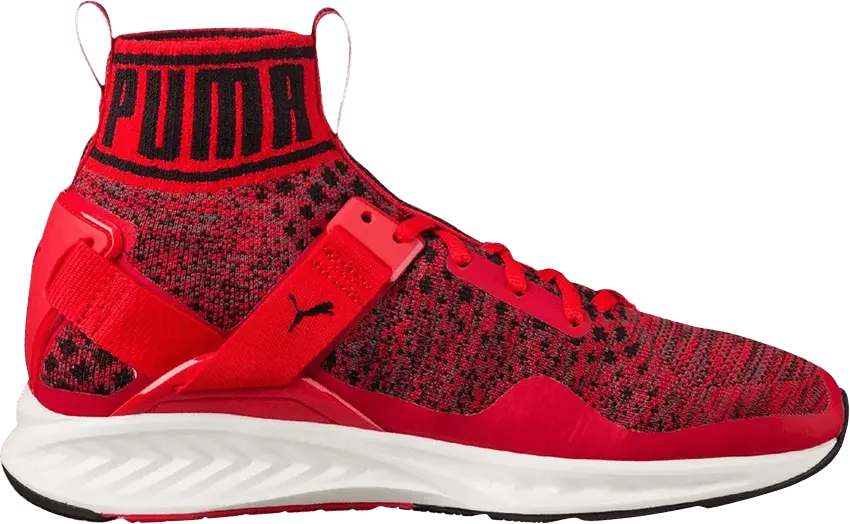  Puma Ignite EvoKnit &#039;Red&#039;