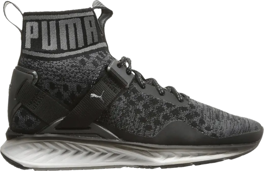  Puma Ignite evoKnit &#039;Asphalt Quiet Shade&#039;