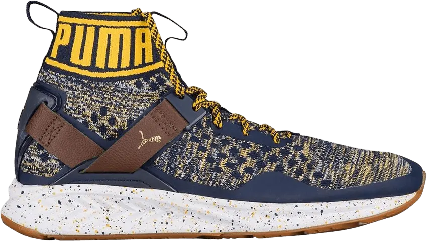 Puma Ignite 3 evoKnit &#039;BHM&#039;