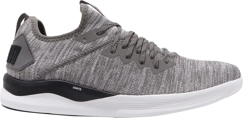 Puma Ignite Flash EvoKnit &#039;Steel Gray&#039;