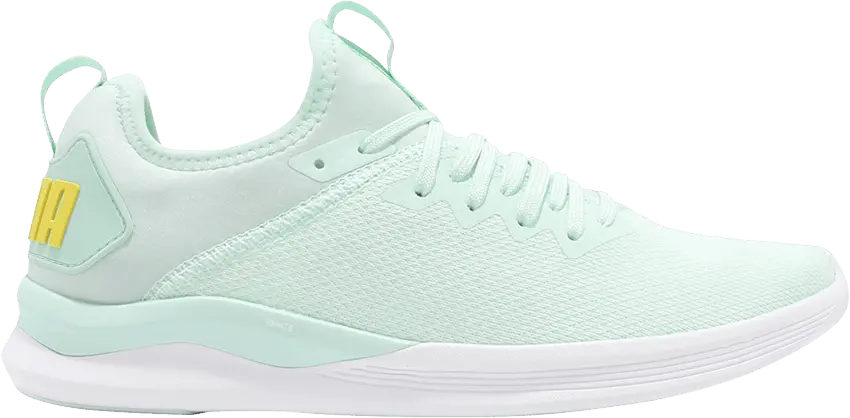  Puma Wmns Ignite Flash EvoKnit SR &#039;Faie Aqua&#039;