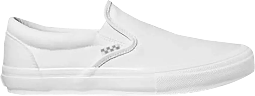  Vans Skate Slip-On &#039;True White&#039;