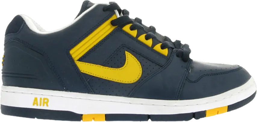  Nike Air Force 2 Low &#039;Michigan&#039;