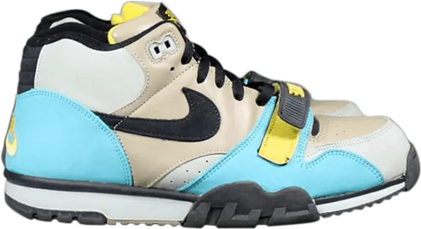  Nike Air Trainer 1 SB