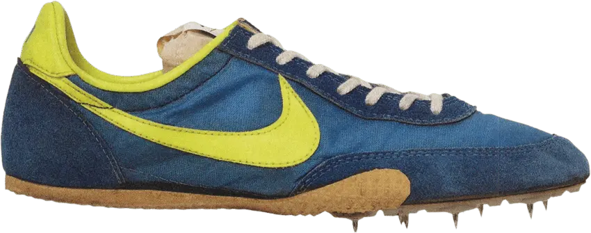 Nike Triumph &#039;Blue&#039;