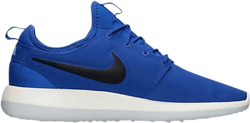  Nike Roshe Two SE