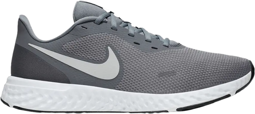  Nike Revolution 5 4E Wide &#039;Cool Grey&#039;
