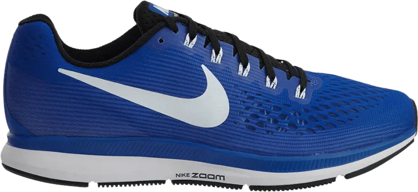  Nike Air Zoom Pegasus 34 Tb Game Royal/White-Black