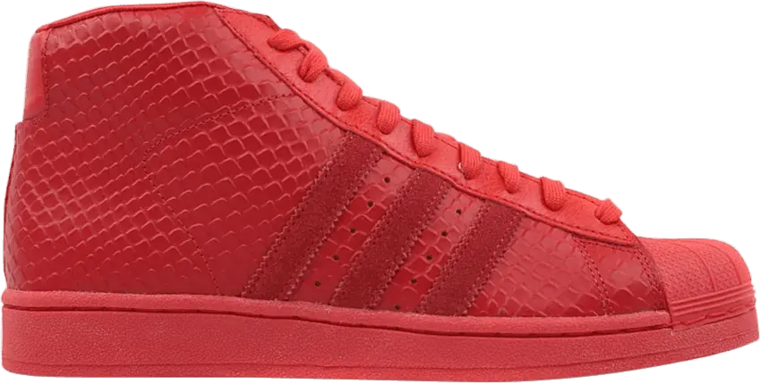  Adidas adidas Pro Model Tomato