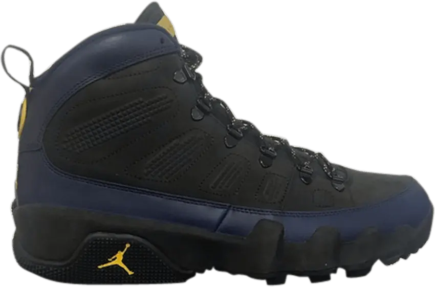 Air Jordan 9 Retro Boot &#039;Michigan Wolverines&#039; PE