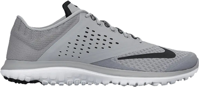 Nike FS Lite Run 2 &#039;Wolf Grey&#039;