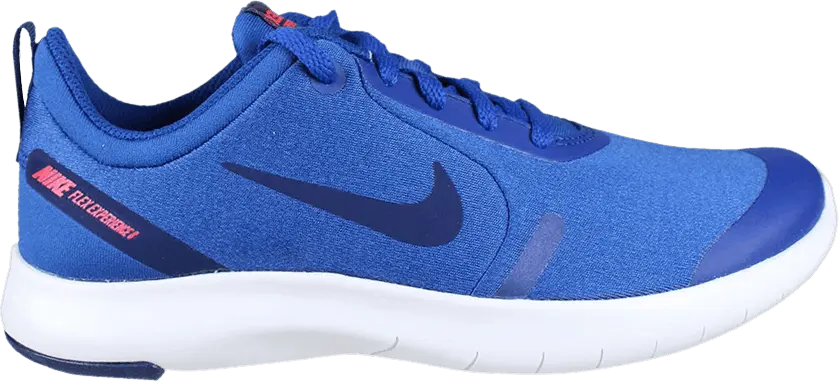  Nike Flex Experience RN 8 GS &#039;Indigo Force&#039;