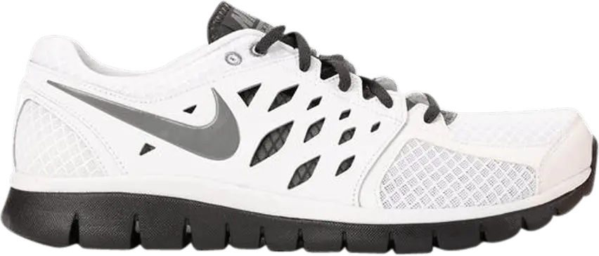  Nike Flex 2013 RN &#039;White Cool Grey&#039;