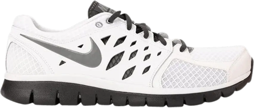 Nike Flex 2013 RN &#039;White Cool Grey&#039;