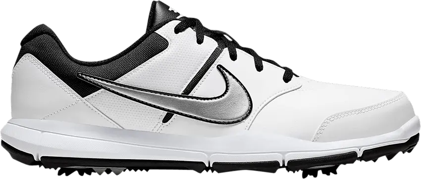 Nike Durasport 4 Wide &#039;White Metallic Silver&#039;