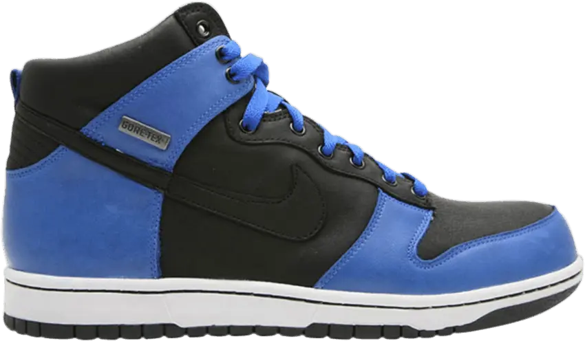  Nike Dunk High Premium Gtx