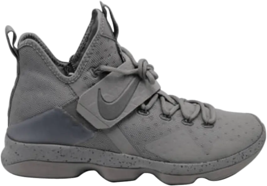 Nike LeBron 14 Silver