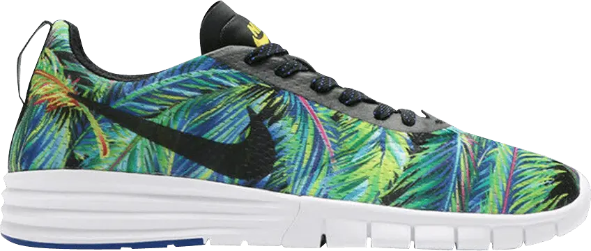  Nike SB Paul Rodriguez 9 R/R Print