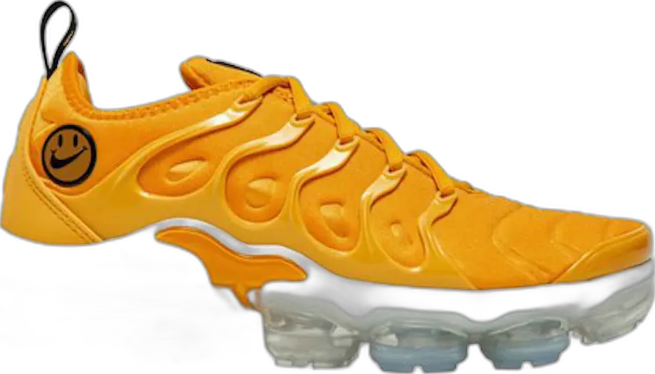 Nike Air VaporMax Plus Go The Extra Smile