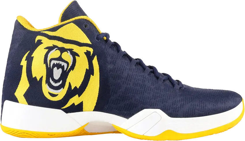 Air Jordan 29 &#039;CAL Golden Bears&#039; PE