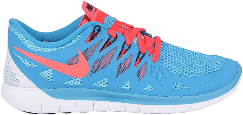  Nike Free 5.0 &#039;Blue Lagoon&#039; Sample