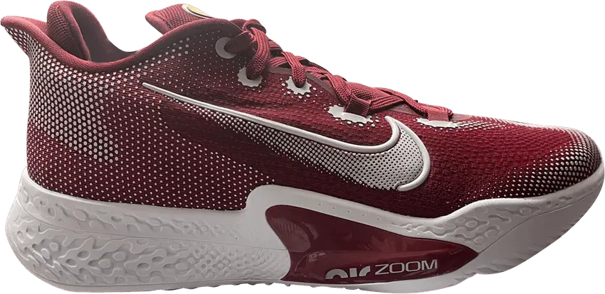  Nike Air Zoom BB NXT TB &#039;Team Red&#039;