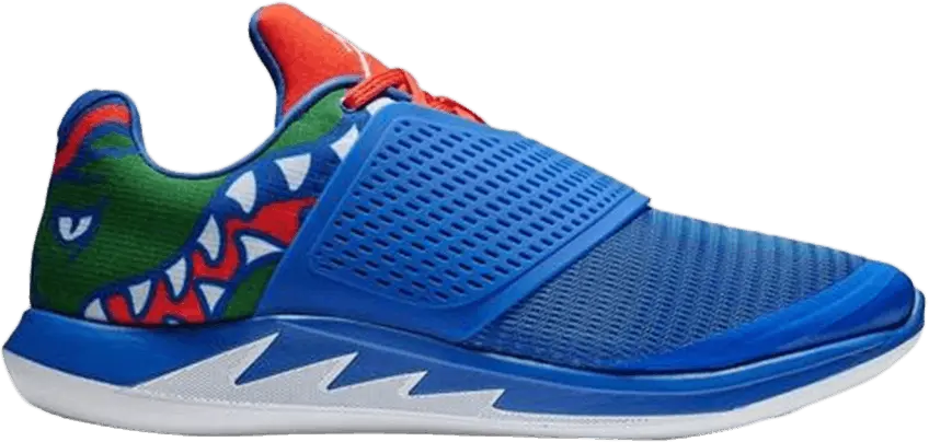 Jordan Grind 2 &#039;Florida Gators&#039;