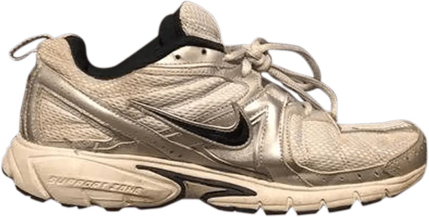 Nike Dart 5 &#039;Silver&#039;
