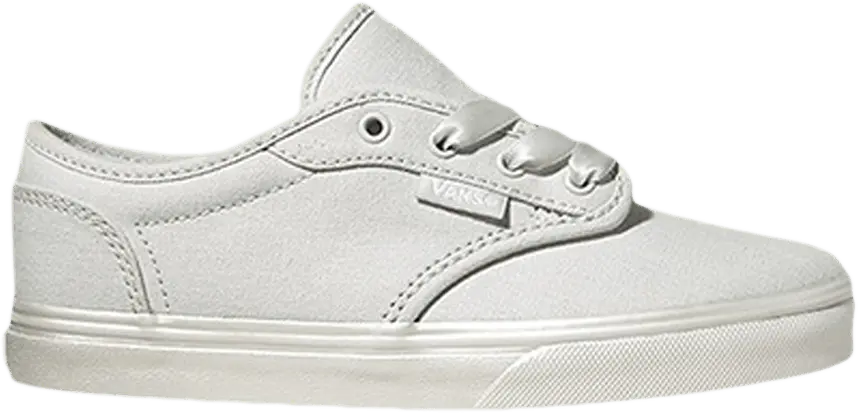  Vans Atwood Low Kids &#039;Metallic Antartica&#039;