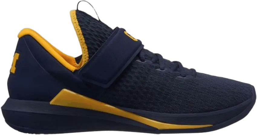  Jordan Trainer 3 &#039;Michigan&#039;