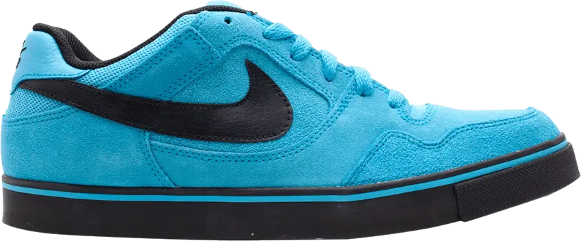 Nike Zoom Paul Rodriguez 2.5