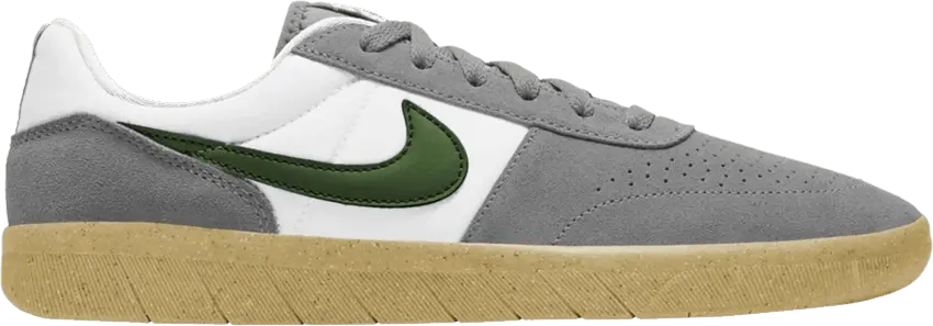 Nike SB Team Classic Particle Grey