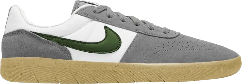  Nike SB Team Classic Particle Grey