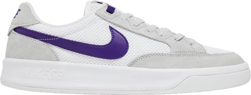 Nike Adversary SB &#039;Grey Frog Court Purple&#039;
