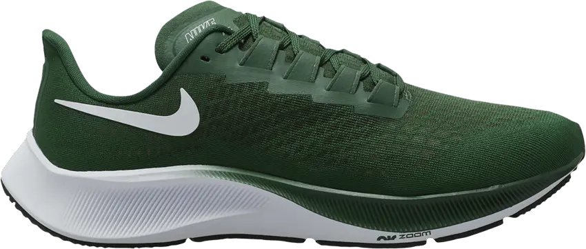  Nike Air Zoom Pegasus 37 TB &#039;Gorge Green&#039;