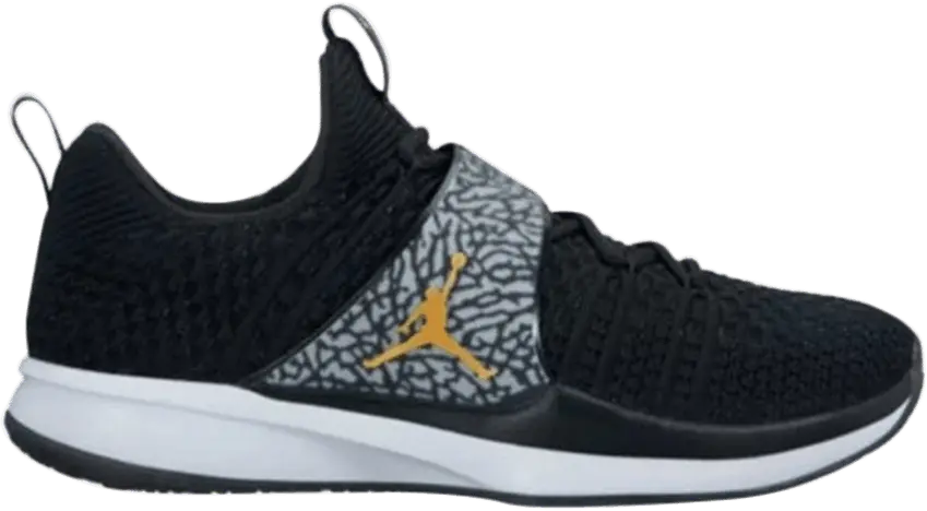  Jordan Trainer 2 Flyknit Black Metallic Gold