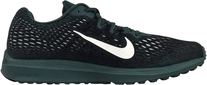  Nike Zoom Winflo 5 &#039;Faded Spruce&#039;