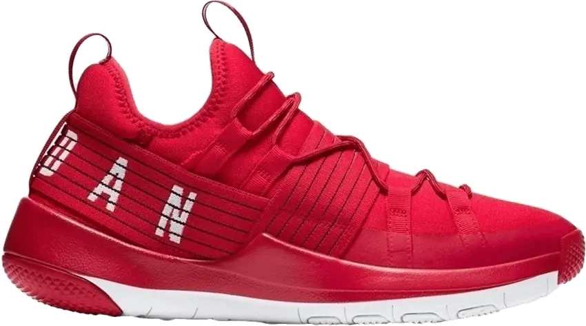 Jordan Trainer Pro &#039;Gym Red&#039;