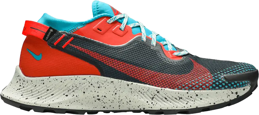 Nike Pegasus Trail 2 GTX &#039;Dark Smoke Grey Bright Crimson&#039;