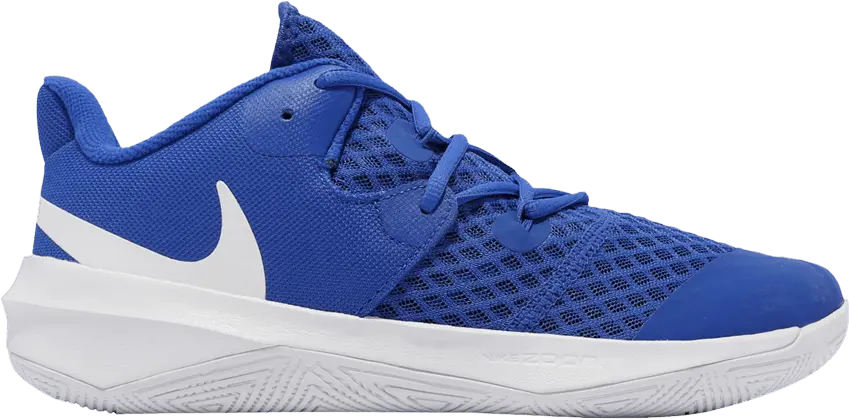  Nike Zoom Hyperspeed Court &#039;Game Royal&#039;