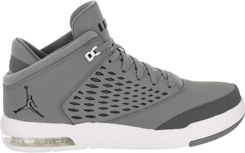  Jordan Flight Origin 4 &#039;Cool Grey&#039;