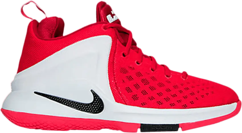  Nike LeBron Zoom Witness GS