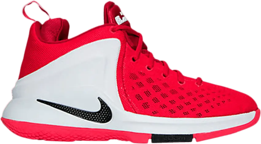 Nike LeBron Zoom Witness GS